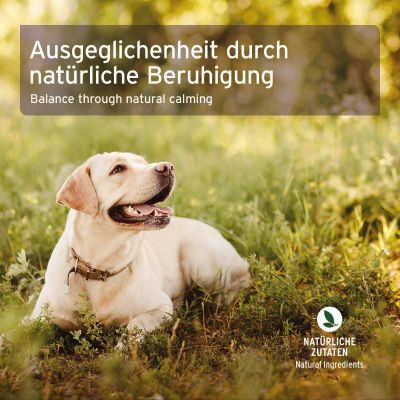 Thumbnail 3: AniForte Bachblüten Vervain