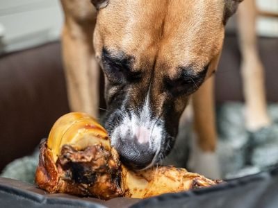 Thumbnail 5: kauartikel.com Pferde-Jumboknochen XXL - hypoallergener Hunde-Kauartikel - Hunde-Snack - Kausnack vom Pferd - Leckerli