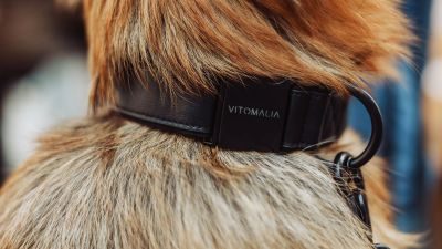 Thumbnail 9: Vitomalia VitomaliaPiñatex Luxus-Hundehalsband aus nachhaltiges Ananas-Leder in Schwarz