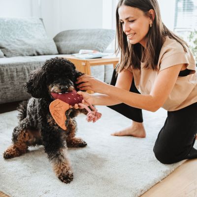 Thumbnail 2: HUNTER Hundespielzeug Rio Feldmaus mit Tau 25 cm