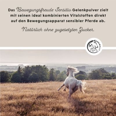 Thumbnail 8: annimally Bewegungsfreude Sensitiv