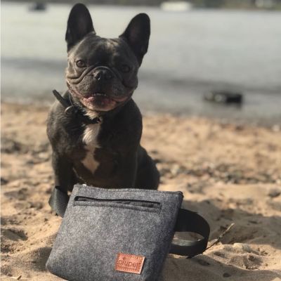 Thumbnail 6: PIUPET Leckerlibeutel für Hunde I Mit Magnetverschluss I Futterbeutel Hundetraining in Filz-Optik I Hochwertig & Stilvoll I Snackbeutel Hund