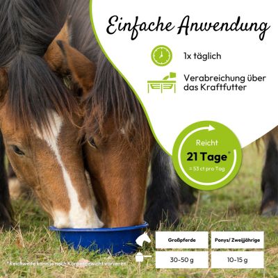 Thumbnail 5: PHA PHA BewegungAktiv für Pferde