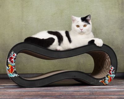 cat-on SINGHA M Design Katzenmöbel, schwarz, Koi (035)