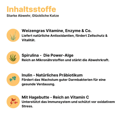 Thumbnail 3: Patsli Immunsystem der Katze stärken mit Vitamin B-Komplex & Inulin