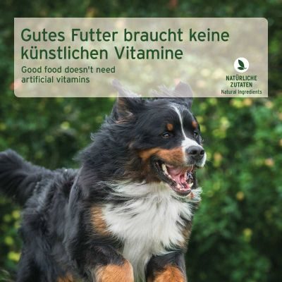 Thumbnail 3: AniForte Nassfutter FarmsLamb – "Lamm mit Kürbis"