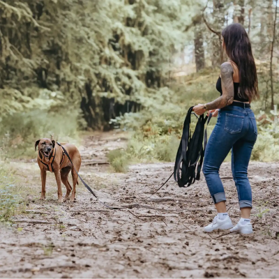 Thumbnail 5: Rudelkönig Schleppleine 15m für Hunde mit Griffpolsterung, Robuste Hundeleine