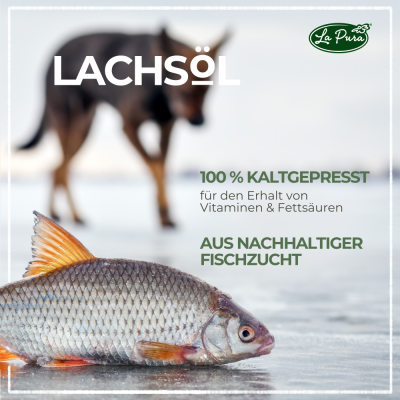 Thumbnail 4: LaPura LaPura Lachsöl für Hunde, Katzen und Pferde - Nahrungsergänzung - Futterergänzung - BARF-Zusatz