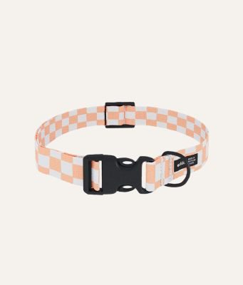 Thumbnail 2: CAFIDE Recyceltes PET-Halsband, Juno