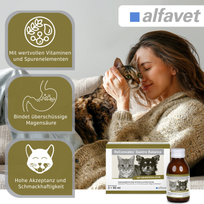 Thumbnail 4: alfavet ReConvales Gastro Balance  3 x 90 ml