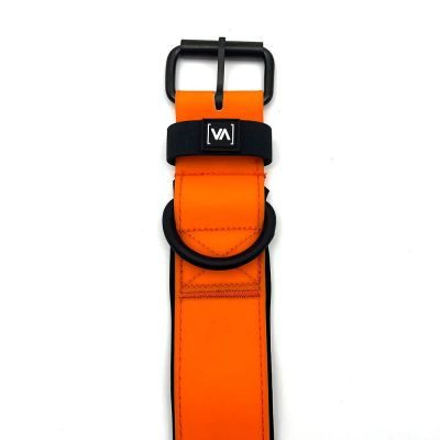 Thumbnail 2: Vitomalia Wasserhalsband mit abstehender Innenfütterung Orange L / 5cm