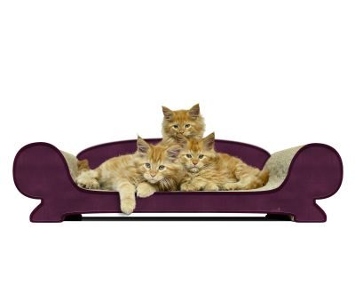 cat-on VERTIGE Design Katzensofa, violett (070)