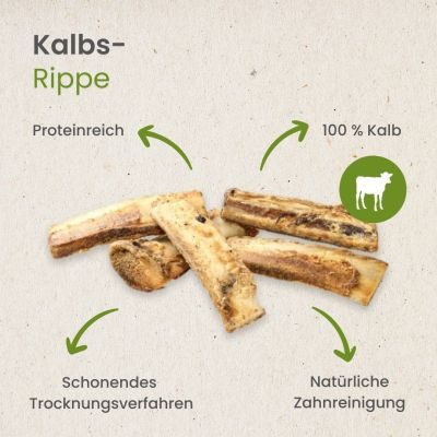 Thumbnail 4: kauartikel.com Kalbs-Rippe - 5 Stück - Hunde-Kauartikel - Hunde-Snack - Kausnack - Kälber-Leckerli  (Rind)
