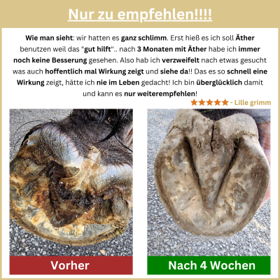 Thumbnail 5: Hoofgold HoofgoldBlueStuff Strahlpflegemittel - Schnelle Hilfe bei Strahlfäule