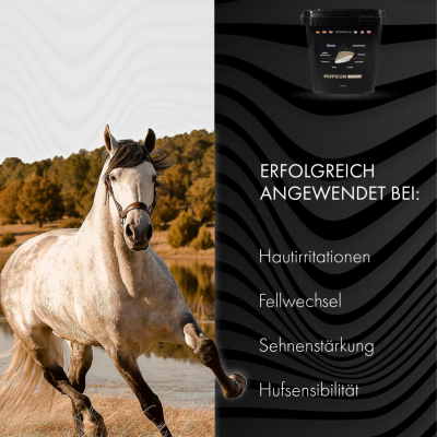 Thumbnail 2: Hoofgold Hufkur- 4 kg - Aus liebe zum Pferd