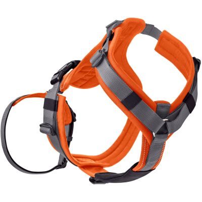 Thumbnail 8: HUNTER Sicherheitsgeschirr Maldon mit Griff M, orange/grau