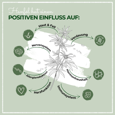 Thumbnail 4: LaPura PetVet - LaPura Hanföl für Hunde & Katzen – natürliches Ergänzungsfuttermittel – für Haut, Fell & allgemeines Wohlbefinden – Omega-Fettsäuren - BARF-Zusatz