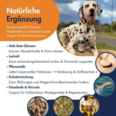 Thumbnail 7: Dr.Clauder’s Intestinal 20 Kräuteröl 250ml