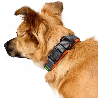 Thumbnail 4: HUNTER Halsung Maldon XL, orange/grau