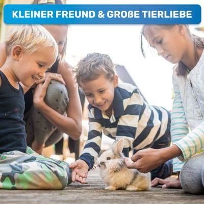 Thumbnail 3: BluePet Kleine sanfte Zupfbürste, Hundebürste & Katzenbürste mit weichen Pins, zur täglichen Anwendung für empfindliche Tiere im Fellwechsel / Welpen geeignet