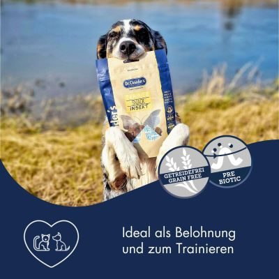 Thumbnail 2: Dr.Clauder´s Trainee Snack Insekt 80g