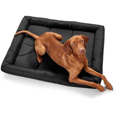 Thumbnail 4: HUNTER Hundematte Vermont XL (120 x 100 x 9 cm), schwarz