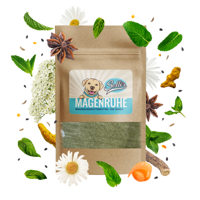 Sollis Kräuterliebe Magenruhe, natürliches Ergänzungsfutter für Verdauungsprobleme beim Hund, 100 g