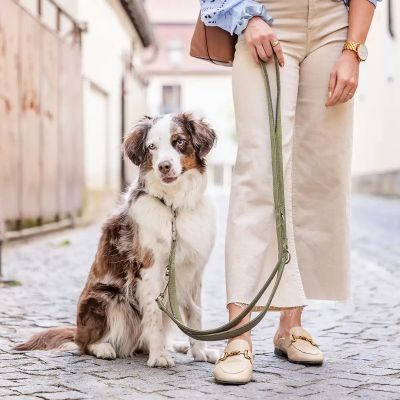 Thumbnail 3: Rudelkönig Hundeleine Gepolsterte Hundeleine Bella, Verstellbare Führleine 2,30m