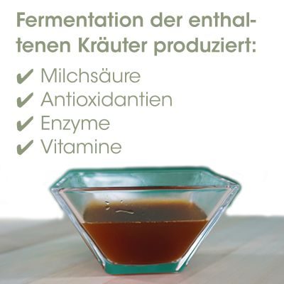 Thumbnail 3: cdVet EquiGreen DarmAktiv 1 L - Natürlich fermentiertes Ergänzungsfuttermittel für die Pferdes Darmflora