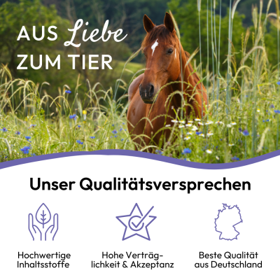 Thumbnail 4: PHA PHA AntiStress Pulver für Pferde