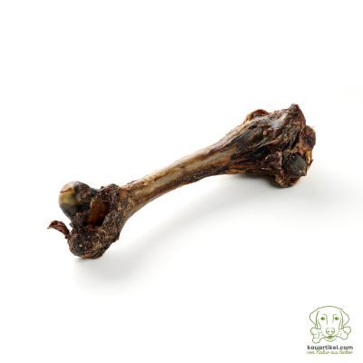 Thumbnail 1: kauartikel.com Hirsch-Bogenröhre 20-25cm - Hunde-Kauartikel - Hunde-Snack - Hypoallergen-Kausnack - Wild-Leckerli