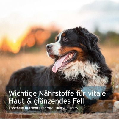 Thumbnail 3: AniForte Bierhefe Tabs