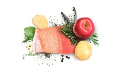 Thumbnail 1: Dibaq Sense Trockenfutter getreidefrei Lachs 2kg