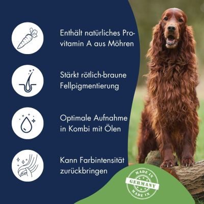 Thumbnail 4: Dr.Clauder’s Pigment Aktiv Möhren Pellets 600g