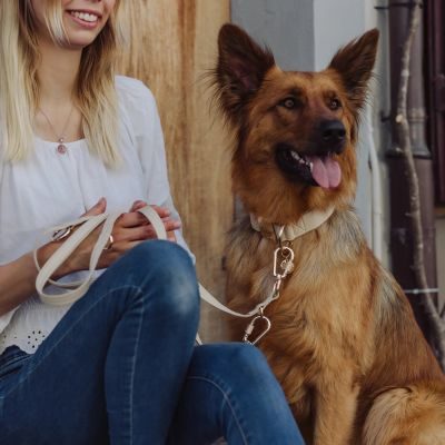 Thumbnail 3: Vitomalia VitomaliaPiñatex Luxus-Hundehalsband aus nachhaltiges Ananas-Leder in Beige