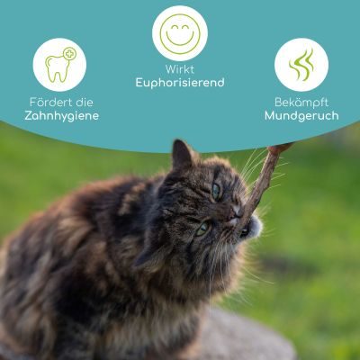 Thumbnail 2: Wolfsbacher Natur Matatabi Minze Sticks für Katzen