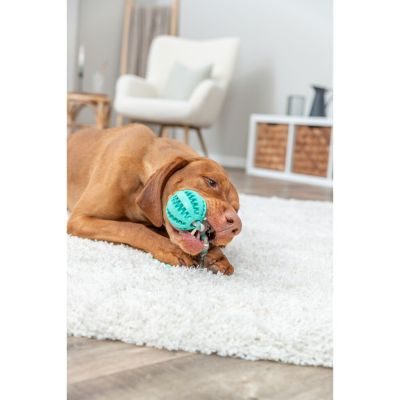 Thumbnail 3: TRIXIE Denta Fun Ball am Tau, Minzgeschmack, Naturgummi