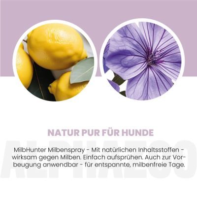 Thumbnail 8: ALPHAZOO MilbHunter Milbenspray für Hunde