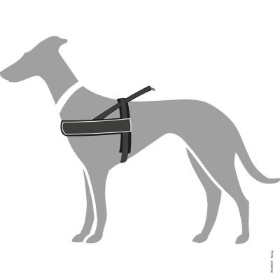 Thumbnail 2: HUNTER Norwegergeschirr Racing M-L, schwarz