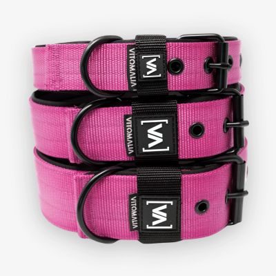 Thumbnail 2: Vitomalia VitomaliaKlassisches Hundehalsband mit abstehender Innenfütterung - Nero Pink