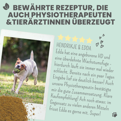 Thumbnail 3: Noms+ Gelenkmix für Hunde & Katzen mit Teufelskralle, Kurkuma & Glucosamin