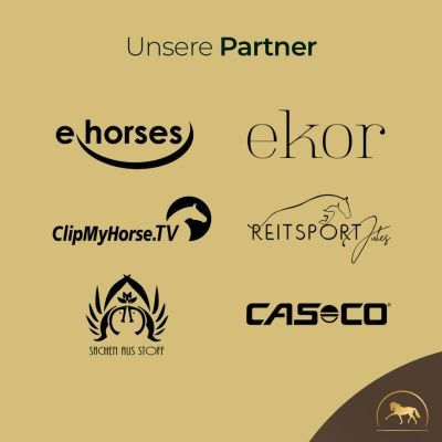 Thumbnail 2: Pferdegold Haut & Fell Eimer 1.5kg