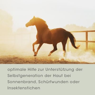 Thumbnail 5: cdVet EquiGreen After Sun 250 ml - Pflegespray für sonnengestresste Pferdehaut