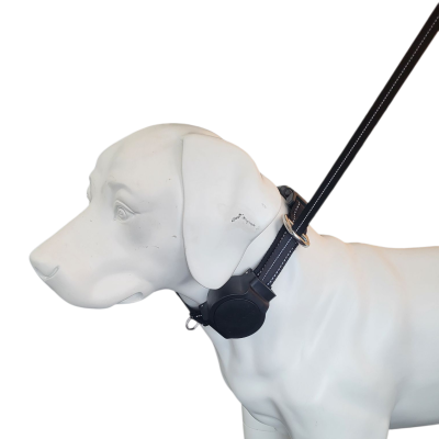 doddle for dogs Halsband mit integrierter Leine für große Hunde schwarz