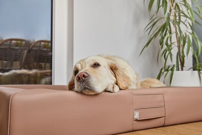 Thumbnail 3: ammi® for Dogs ammi®Bed Gr. L / Braun