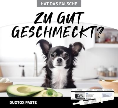 Thumbnail 4: alfavet DuoTox Paste  30 ml