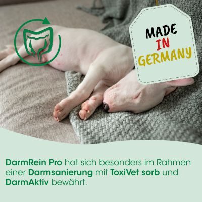 Thumbnail 4: cdVet DarmRein Pro 40 g – Natürliche Darmreinigung für Hunde, Katzen & Heimtiere
