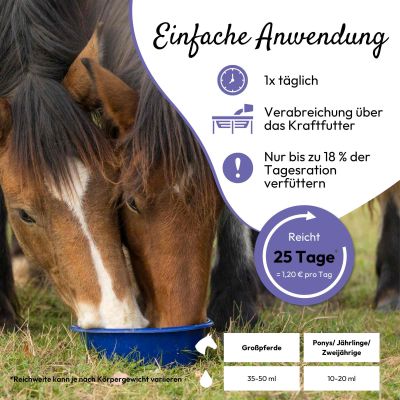 Thumbnail 9: PHA PHA AntiStress Liquid für Pferde