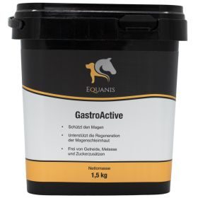 Equanis GastroActive – Magen Pferd