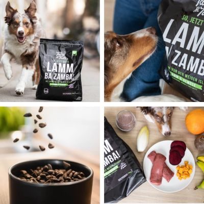 Thumbnail 5: Tales & Tails LammBa Zamba! Softtrockenfutter - 8 kg (2x4kg)